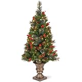 National Tree CW7-306-40 Crestwood Spruce Entrance Tree with 100 Clear UL-Lights, 4-Feet