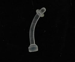 Clear Belly Ring Retainer 14G - 12MM - Sold as a Pair