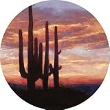 Saguaro Sunset Thirstystone Sandstone Coasters