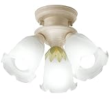 �I�[�f���b�N �V�����f���A SH-771