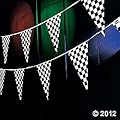 Plastic 100' CHECKERED Flag RACING Pennants/BANNER/Indy/NASCAR/RACER PARTY DECORATIONS/Decor/48 Pennants/RACE CAR