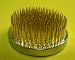 Kenzan Japanese Flower Holder #M2029