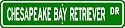 Chesapeake Bay Retriever STREET SIGN ~ High Quality Aluminum ~ Dog Lover