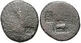 Jerusalem, Judaea, Legio X Fretensis Countermarks, c. 68 - 132 A.D.; Bronze AE 26