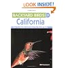Backyard Birds of California: How to Identify and Attract the Top 25 Birds