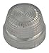 Pilot Light Lens, 30mm, Clear, Plastic