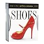 Shoes Gallery Calendar 2009 (Page a Day Gallery Calendar)