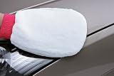 Laitner Brush Company Micro Fiber Polishing Mitt