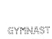 Iron On Hot Fix Clear Crystal GYMNAST Transfer