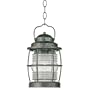 Kenroy Home 90955FL Beacon Hanging Lantern, Flint