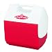 Igloo Products Corp.