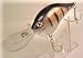 Dpc Custom Shad Bass Fishing Lure-plug-crankbait-deep Diver Search The Term Rockcreeklures To See Our Entire Line Here On Amazon.