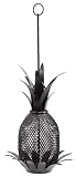 Pineapple Bird Feeder