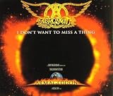 I DonT Want To Miss A Thing