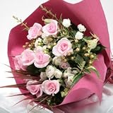 �y��ꉀ�|�z�Z���N�g���[�Y�ԑ��u�^�C�^�j�b�N�v