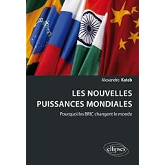 Les Nouvelles Puissances Mondiales Pourquoi les Bric Changent le Monde
