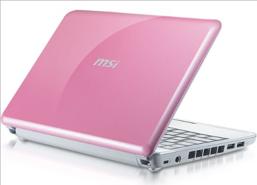 MSI Wind U100-427 10-Inch Pink Netbook - 2.5 Hour Battery Life On Sale