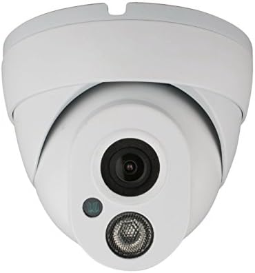 SecuEyes CH-665 1000TVL, IR Dome Camera with IP 66 Dust and Weather Proof (Gray/White)