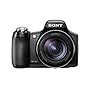 Sony - Cyber-Shot - DSC-HX1 - Appareil photo num�rique - Bridge - 9,1 Mpix - Zoom Optique 20x - Ecran LCD 3" - Sortie HD - Noir