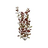 TetraWaterWondersFreshWaterPlantRedLudwigia,12-Inch