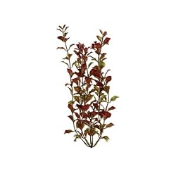 Tetra Water Wonders Fresh Water Plant Red Ludwigia, 12-Inch