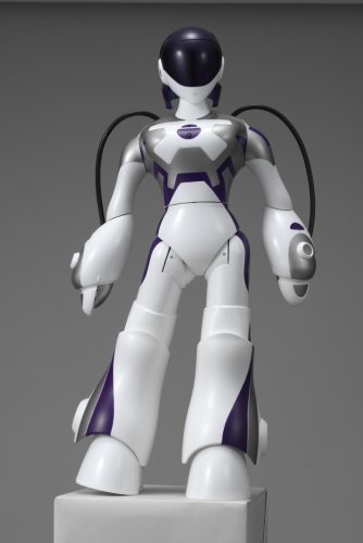 エマ(Eternal Maiden Actualization)