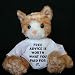 Plush Stuffed Cat (Kit Kat) toy with Free advice is worth what you paid for it. t-shirt