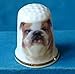 Porcelain China Collectable Thimble -- Bulldog