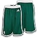 Boston Celtics Swingman Shorts (Green) L