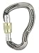 DMM Sentinel Screwgate Karabiner