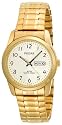 Pulsar Men's Watch #PJ6016