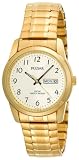 Pulsar Men's PJ6016 Watch