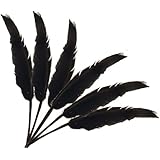 Touch of Nature 38204 Indian Feather, 7 to 8-Inch, Black