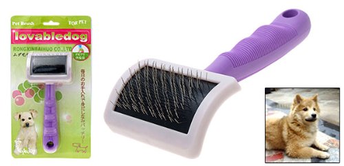Purple Handle Pet Dog & Cat Bristles Grooming 