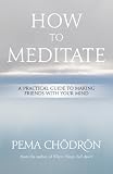 How to Meditate: A Practical Guide to Making Friends with Your Mind