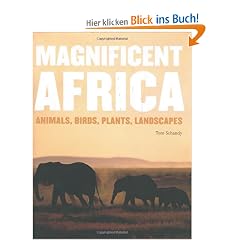 Magnificent Africa: Animals,Birds,Plants,Landscapes