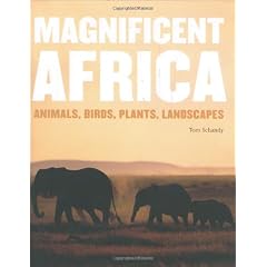 Magnificent Africa