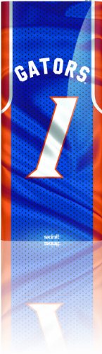 Skinit Protective Skin Fits Ipod Nano 4G (University of Florida 
