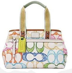 Coach Hamptons Scribble Small Carryall Bag Tote 10763
