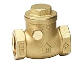 Homewerks VSK-STD-B5B Swing Check Valve, Female Thread x Female Thread, Brass, 1-Inch