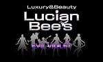 Lucian Bee's EVIL VIOLET PSP版