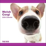 Welsh Corgi The Dog 2009 Wall Calendar