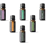 Kis Oil'S Top 6 Therapeutic Grade Essential Oil Gift Set, 10 ml (Lavender, Tea Tree, Eucalyptus, Lemongrass, Orange, Peppermint)