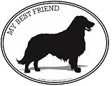 41fac0kwN4L. SL160  GOLDEN RETRIEVER   MY BEST FRIEND   Dog   Oval Decal Sticker   Can be used for Cars, Trucks, Notebooks etc.