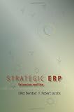 Strategic ERP Extension and Use