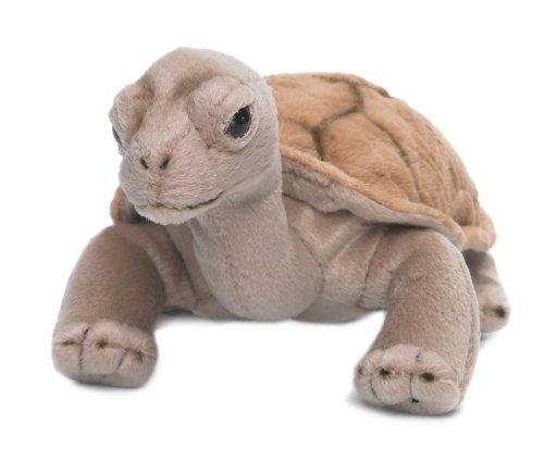 Wwf - 15212004 - Peluche - Tortue Terrestre - 20 cm