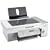 Lexmark X4550 Wireless All-in-One Photo Printing/Scan/Copy/Print (1410600)