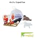 Arctic Expedition