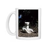 Ring-tailed Lemur (Lemur catta), all white baby male (Sapphire) albino lemur Photo Mugs