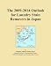 The 2009-2014 Outlook for Laundry Stain Removers in Japan